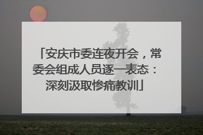 安庆市委连夜开会，常委会组成人员逐一表态：深刻汲取惨痛教训