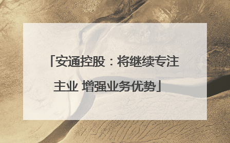 安通控股：将继续专注主业 增强业务优势