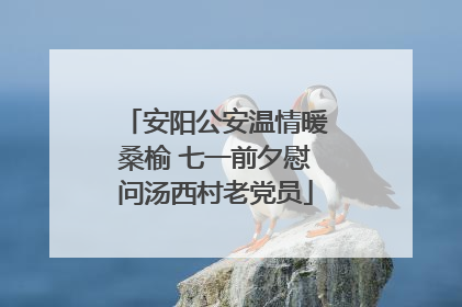 安阳公安温情暖桑榆 七一前夕慰问汤西村老党员
