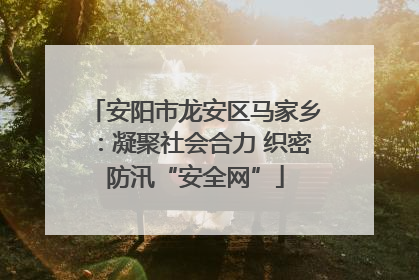 安阳市龙安区马家乡：凝聚社会合力 织密防汛“安全网”