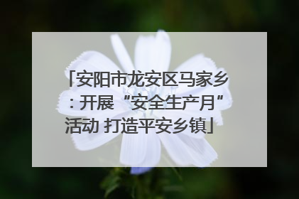 安阳市龙安区马家乡：开展“安全生产月”活动 打造平安乡镇
