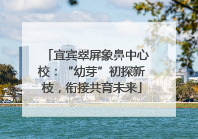 宜宾翠屏象鼻中心校：“幼芽”初探新枝，衔接共育未来