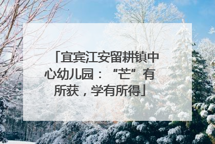 宜宾江安留耕镇中心幼儿园：“芒”有所获，学有所得