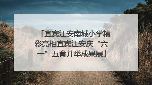 宜宾江安南城小学精彩亮相宜宾江安庆“六一”五育并举成果展
