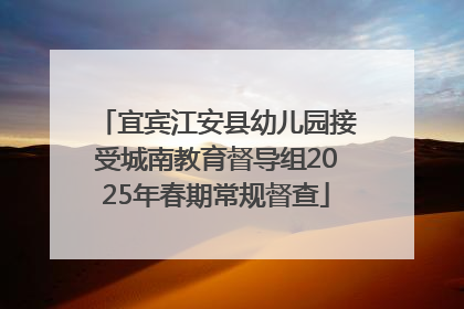宜宾江安县幼儿园接受城南教育督导组2025年春期常规督查