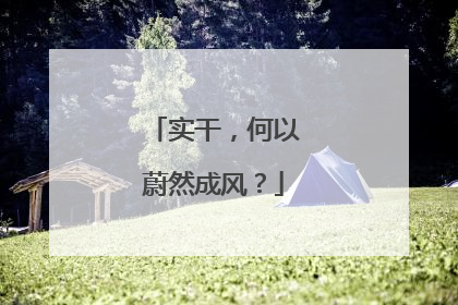 实干，何以蔚然成风？