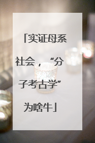 实证母系社会，“分子考古学”为啥牛