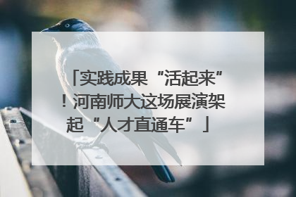 实践成果“活起来”！河南师大这场展演架起“人才直通车”
