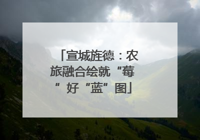 宣城旌德：农旅融合绘就“莓”好“蓝”图