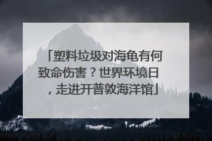 塑料垃圾对海龟有何致命伤害？世界环境日，走进开普敦海洋馆