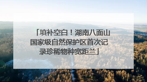 填补空白！湖南八面山国家级自然保护区首次记录珍稀物种宽距兰