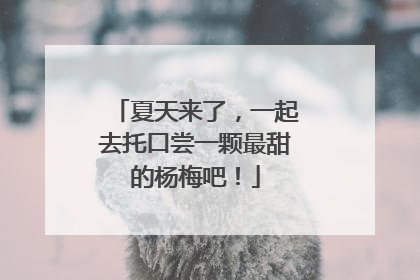 夏天来了，一起去托口尝一颗最甜的杨梅吧！