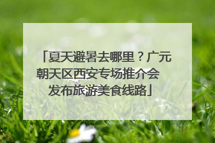 夏天避暑去哪里？广元朝天区西安专场推介会 发布旅游美食线路