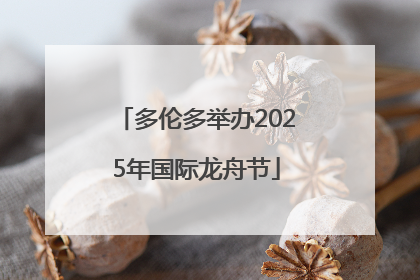 多伦多举办2025年国际龙舟节