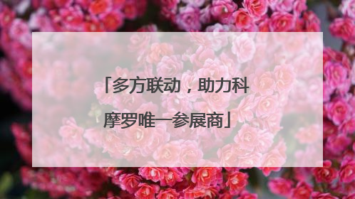 多方联动，助力科摩罗唯一参展商