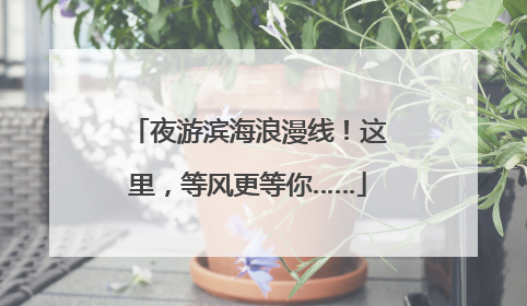 夜游滨海浪漫线！这里，等风更等你……