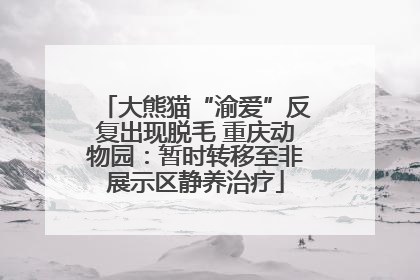 大熊猫“渝爱”反复出现脱毛 重庆动物园：暂时转移至非展示区静养治疗