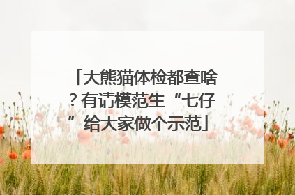 大熊猫体检都查啥？有请模范生“七仔”给大家做个示范