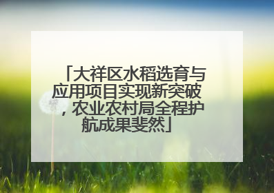 大祥区水稻选育与应用项目实现新突破，农业农村局全程护航成果斐然