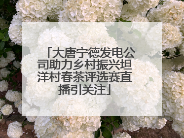 大唐宁德发电公司助力乡村振兴坦洋村春茶评选赛直播引关注