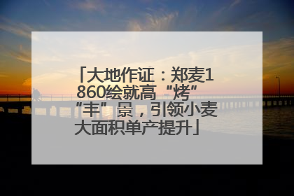 大地作证：郑麦1860绘就高“烤”“丰”景，引领小麦大面积单产提升