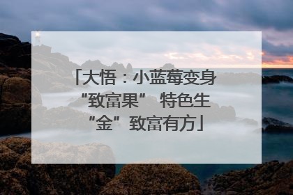 大悟：小蓝莓变身“致富果” 特色生“金”致富有方