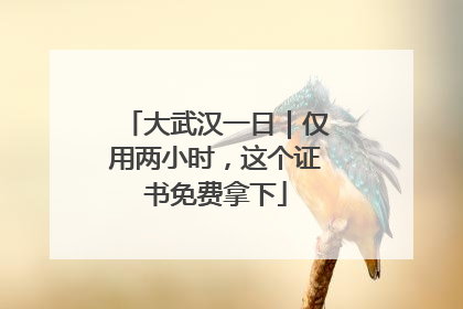 大武汉一日｜仅用两小时，这个证书免费拿下