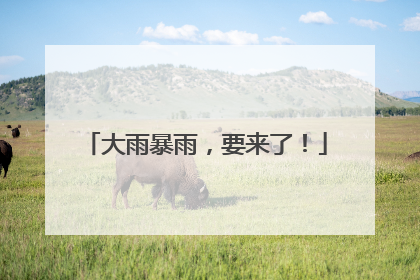 大雨暴雨，要来了！