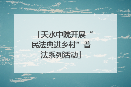 天水中院开展“民法典进乡村”普法系列活动