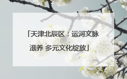 天津北辰区：运河文脉滋养 多元文化绽放