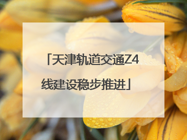 天津轨道交通Z4线建设稳步推进
