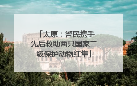 太原：警民携手 先后救助两只国家二级保护动物红隼