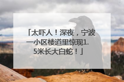 太吓人！深夜，宁波一小区楼道里惊现1.5米长大白蛇！