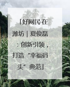 好网民·在潍坊｜夏俊磊：创新引领，打造“幸福码头”典范