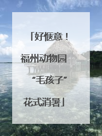 好惬意！福州动物园“毛孩子”花式消暑