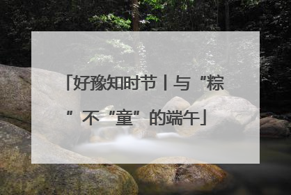 好豫知时节丨与“粽”不“童”的端午