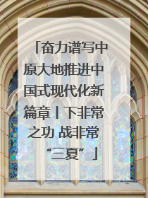 奋力谱写中原大地推进中国式现代化新篇章丨下非常之功 战非常“三夏”