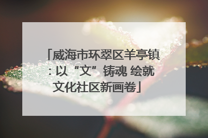 威海市环翠区羊亭镇：以“文”铸魂 绘就文化社区新画卷
