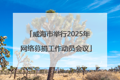 威海市举行2025年网络募捐工作动员会议