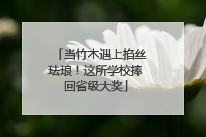 当竹木遇上掐丝珐琅！这所学校捧回省级大奖