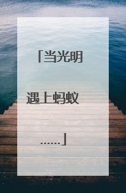 当光明遇上蚂蚁……