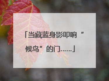 当藏蓝身影叩响“候鸟”的门……