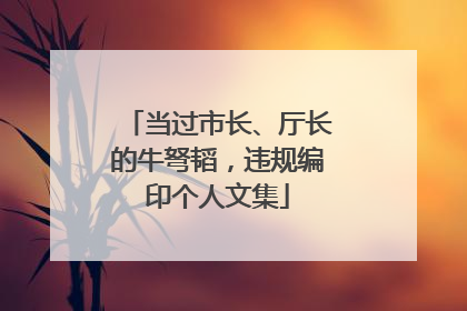 当过市长、厅长的牛弩韬，违规编印个人文集