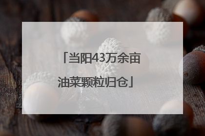 当阳43万余亩油菜颗粒归仓