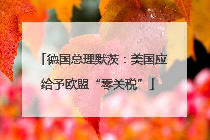 德国总理默茨：美国应给予欧盟“零关税”
