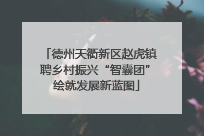德州天衢新区赵虎镇聘乡村振兴“智囊团” 绘就发展新蓝图