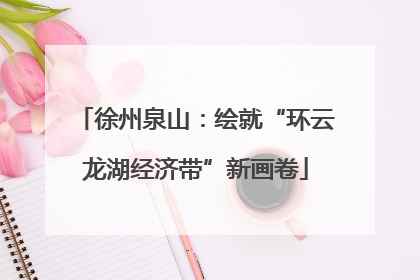 徐州泉山：绘就“环云龙湖经济带”新画卷