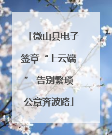 微山县电子签章“上云端” 告别繁琐公章奔波路