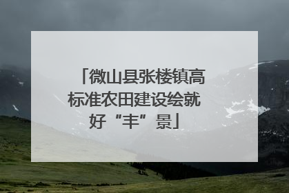 微山县张楼镇高标准农田建设绘就好“丰”景