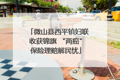 微山县西平镇妇联收获锦旗 “两癌”保险理赔解民忧